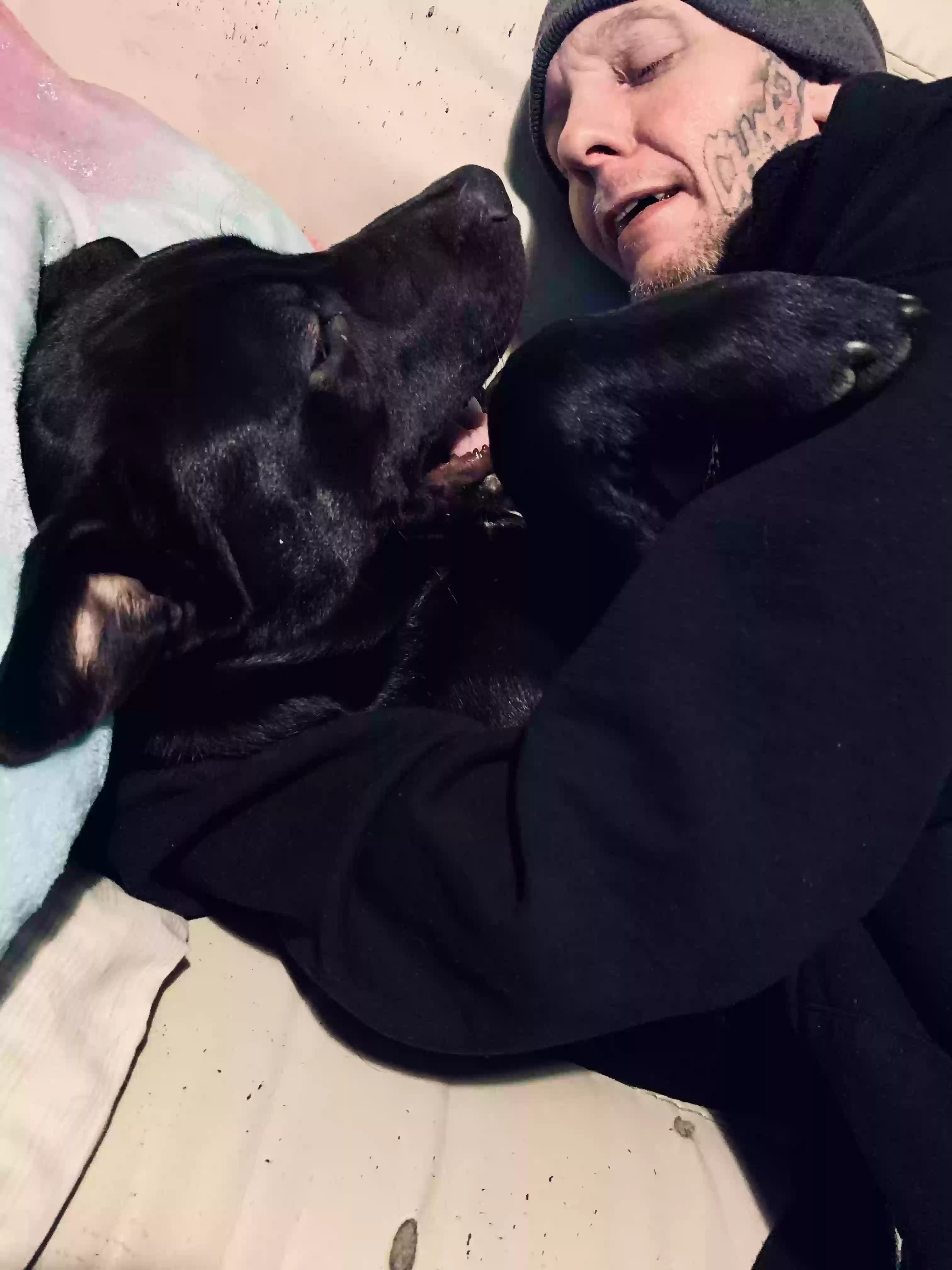 /lostandfound/images/lnfpets/original/172449_photo.webp