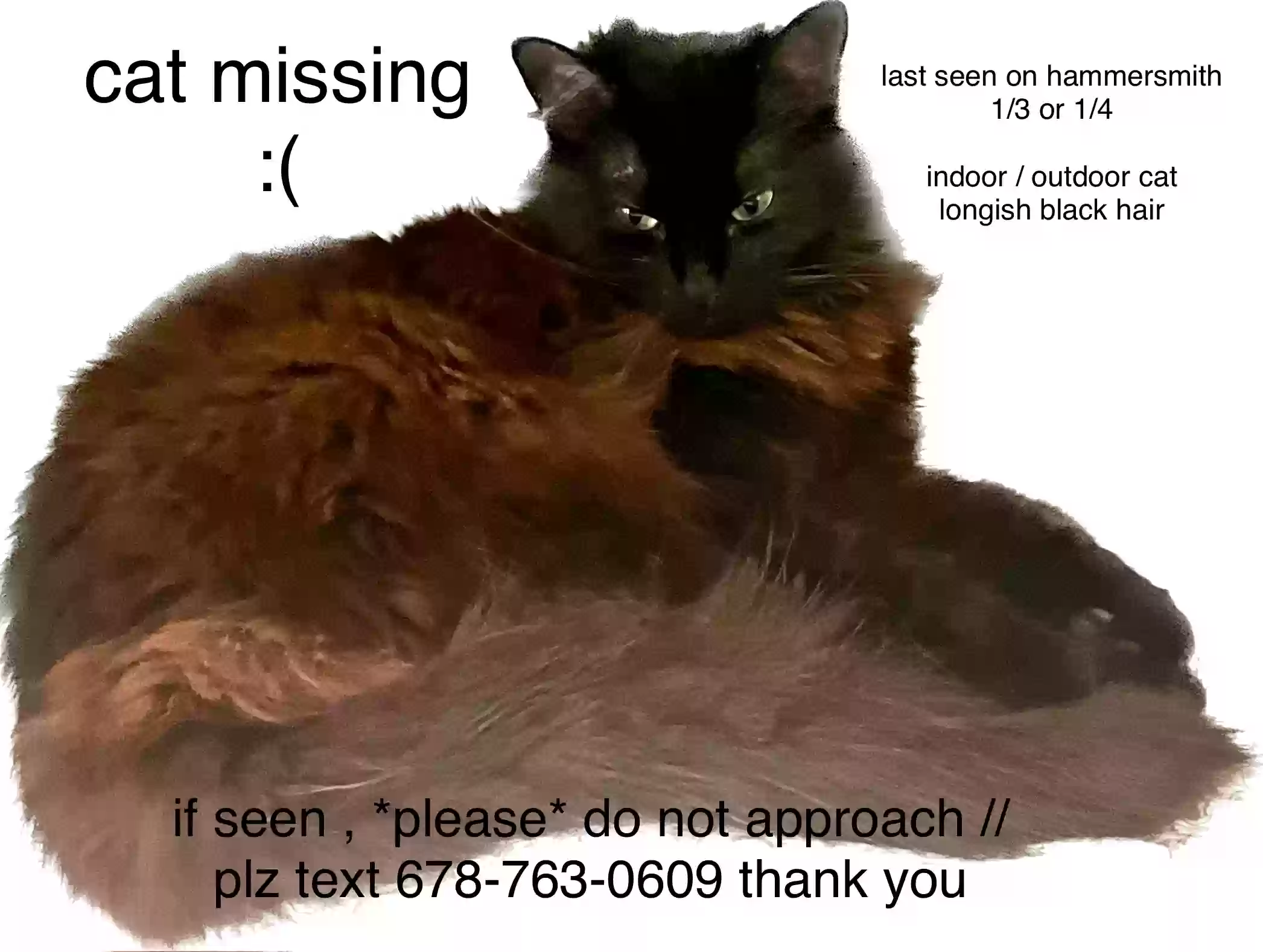 /lostandfound/images/lnfpets/original/172970_photo.webp