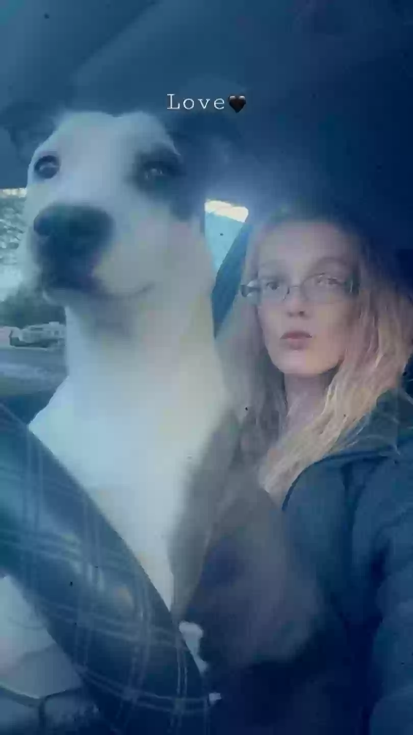 /lostandfound/images/lnfpets/original/173133_photo.webp