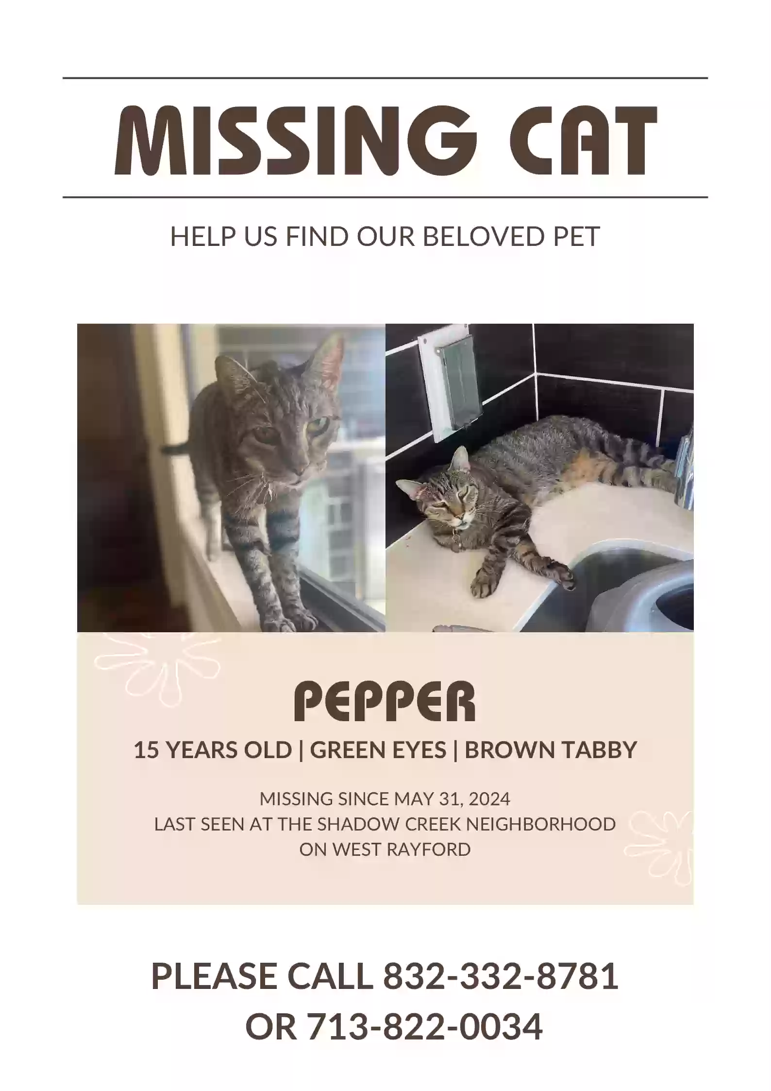 /lostandfound/images/lnfpets/original/176066_photo.webp