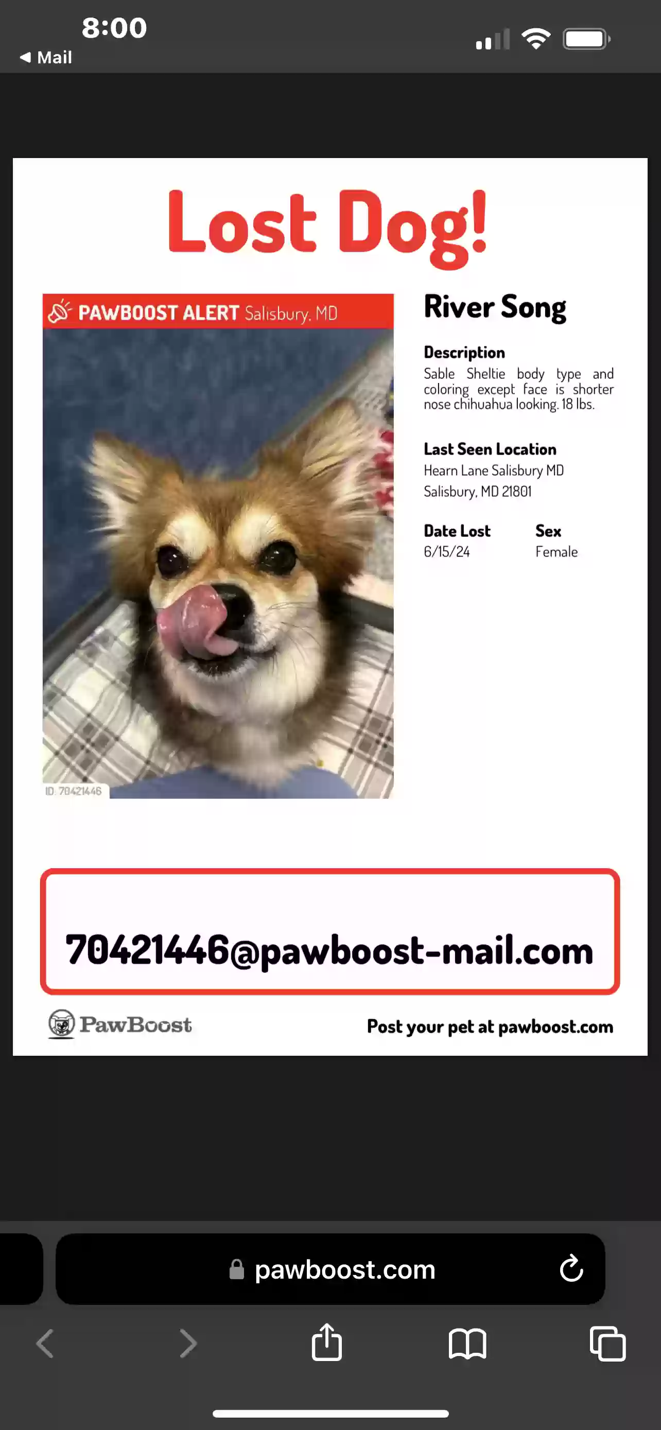 /lostandfound/images/lnfpets/original/176606_photo.webp