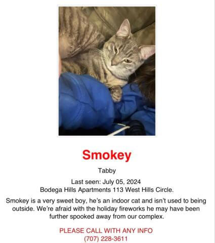 /lostandfound/images/lnfpets/original/177227_photo.jpg