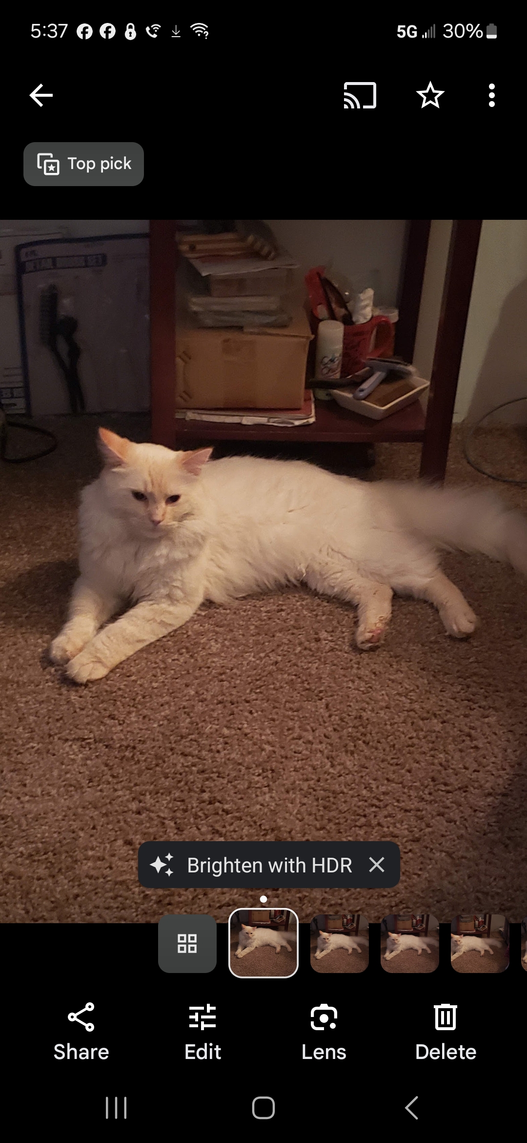 /lostandfound/images/lnfpets/original/177232_photo.jpg
