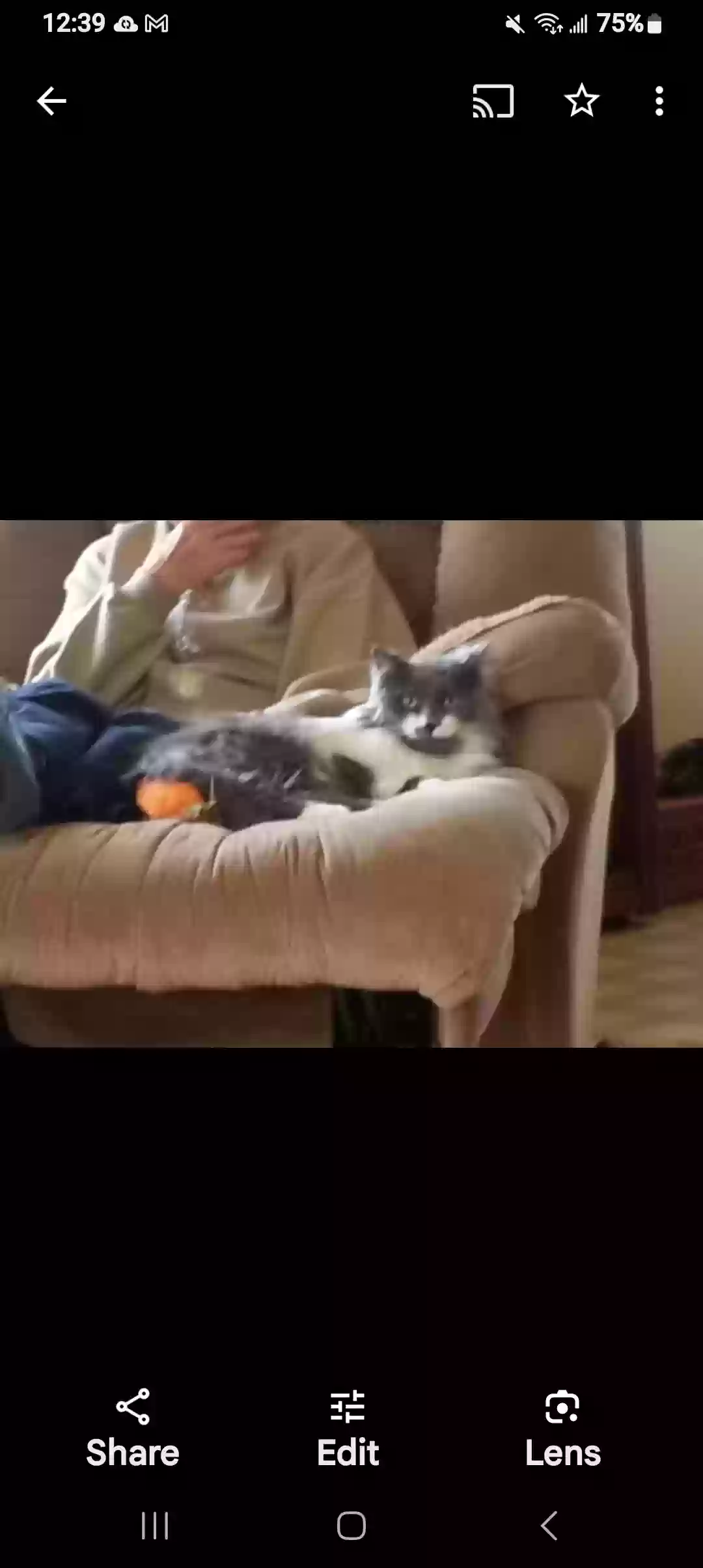 /lostandfound/images/lnfpets/original/177605_photo.webp