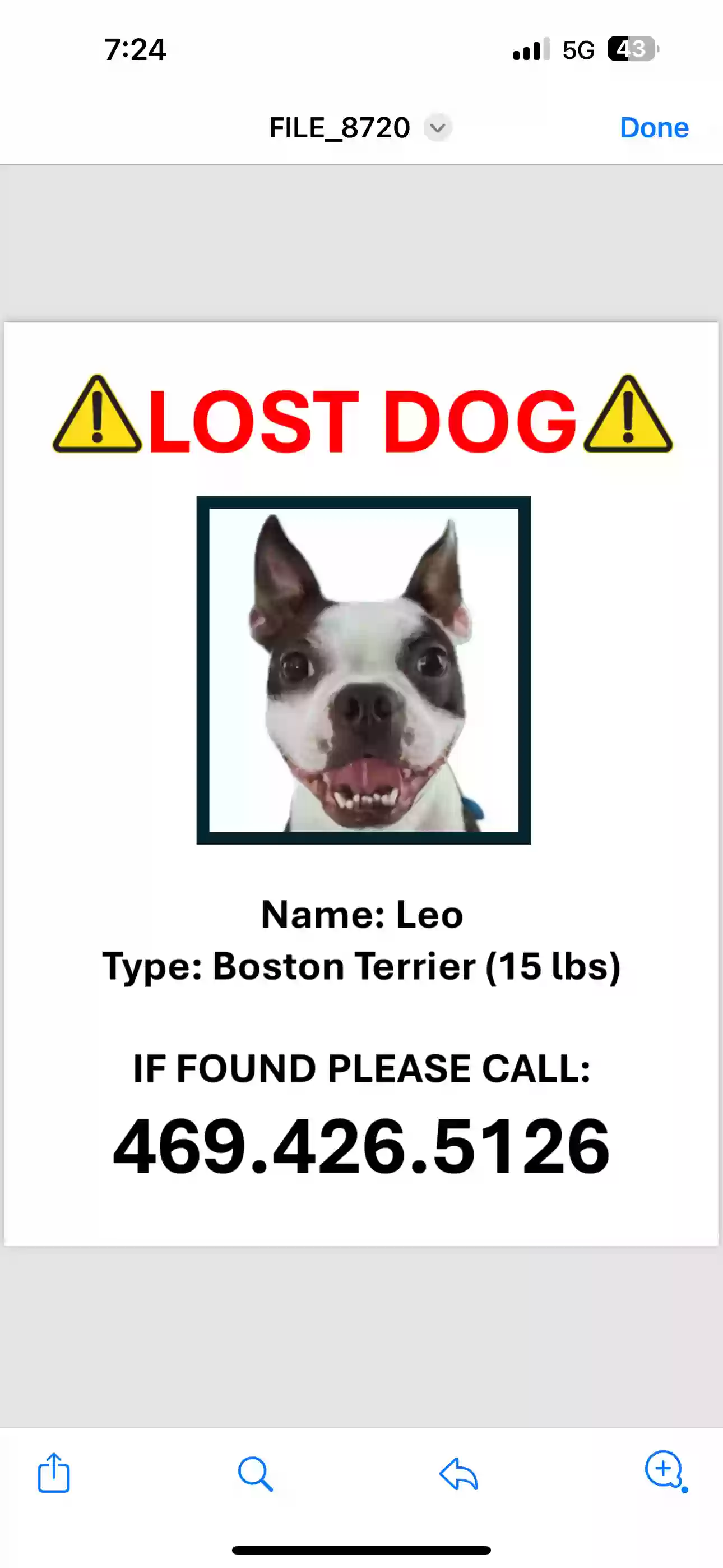 /lostandfound/images/lnfpets/original/177847_photo.webp