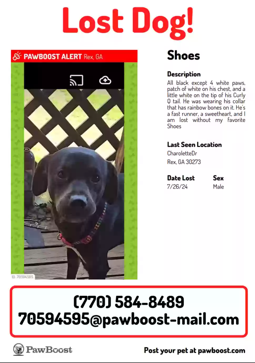 /lostandfound/images/lnfpets/original/178020_photo.webp
