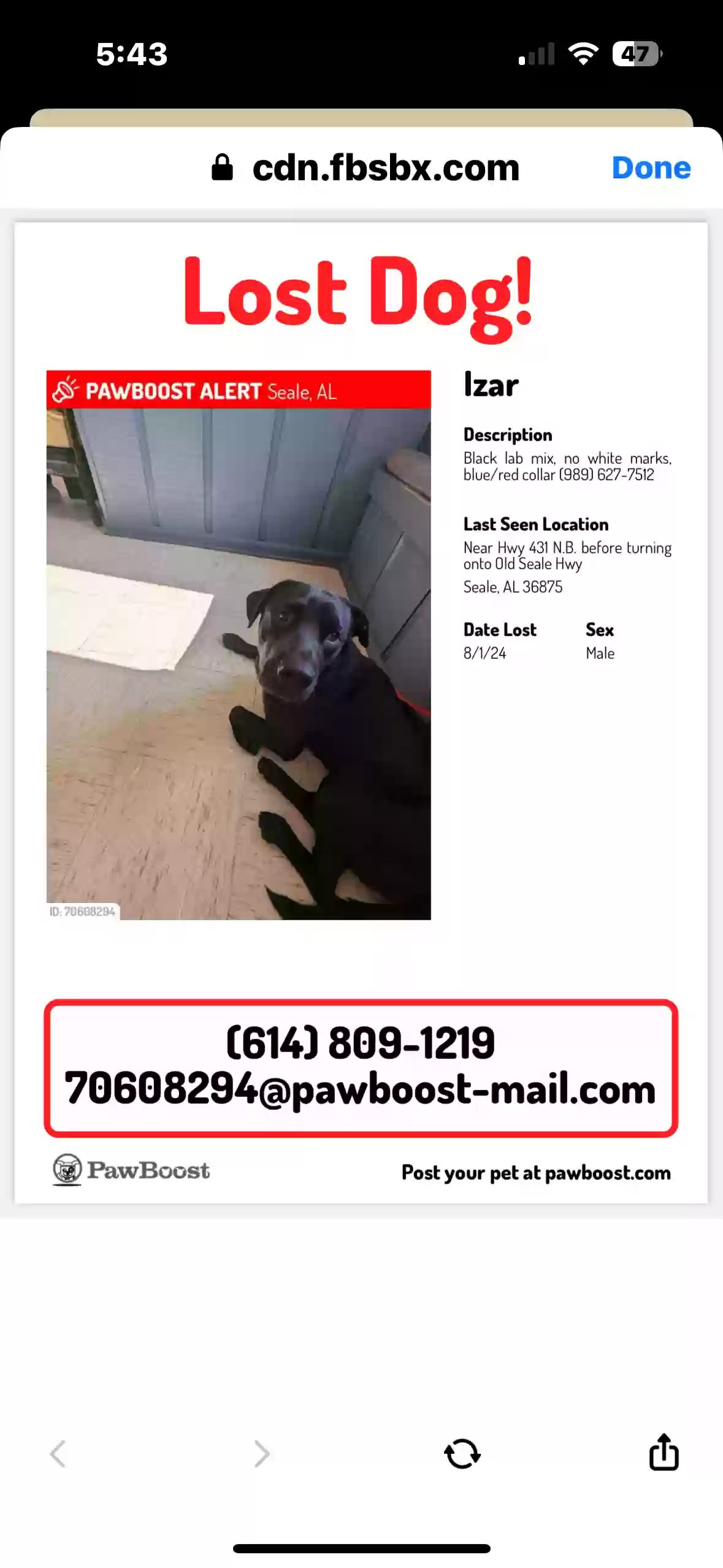 /lostandfound/images/lnfpets/original/178130_photo.webp