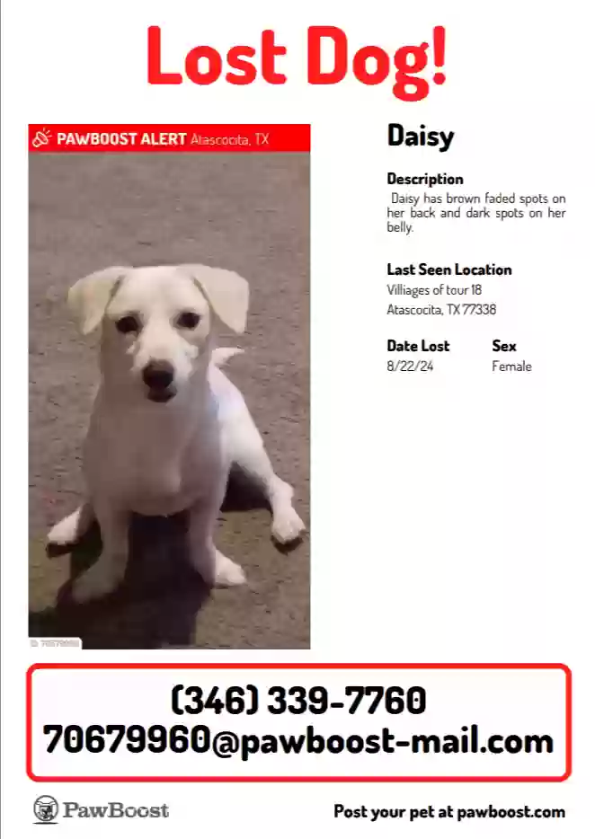 /lostandfound/images/lnfpets/original/178681_2714_Screenshot_20240823-193133.webp