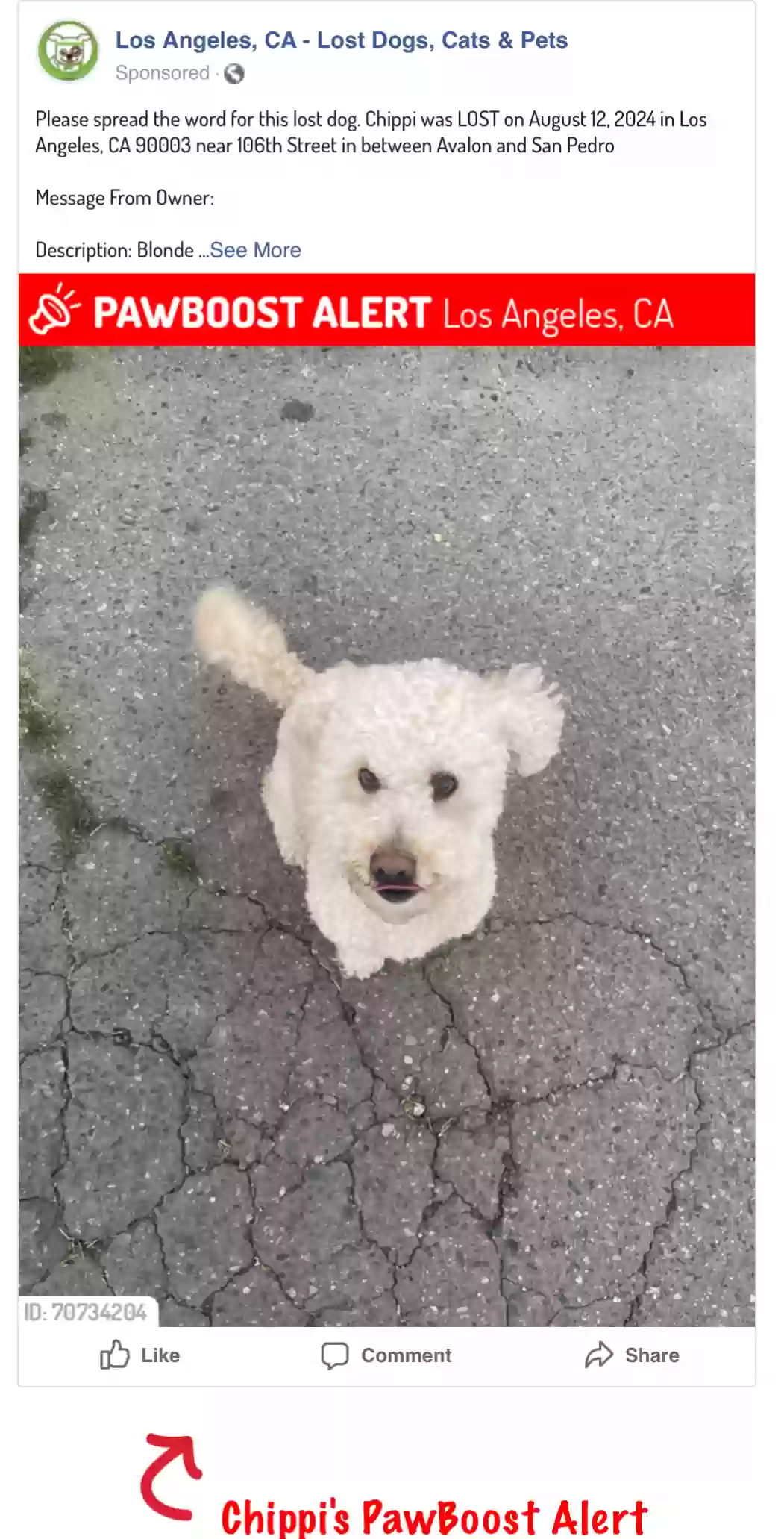 /lostandfound/images/lnfpets/original/179194_photo.webp