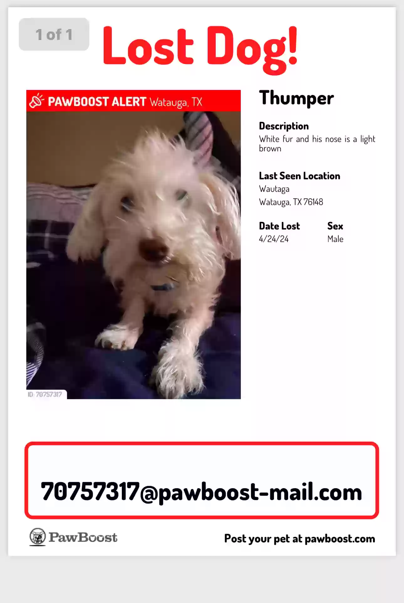 /lostandfound/images/lnfpets/original/179346_photo.webp