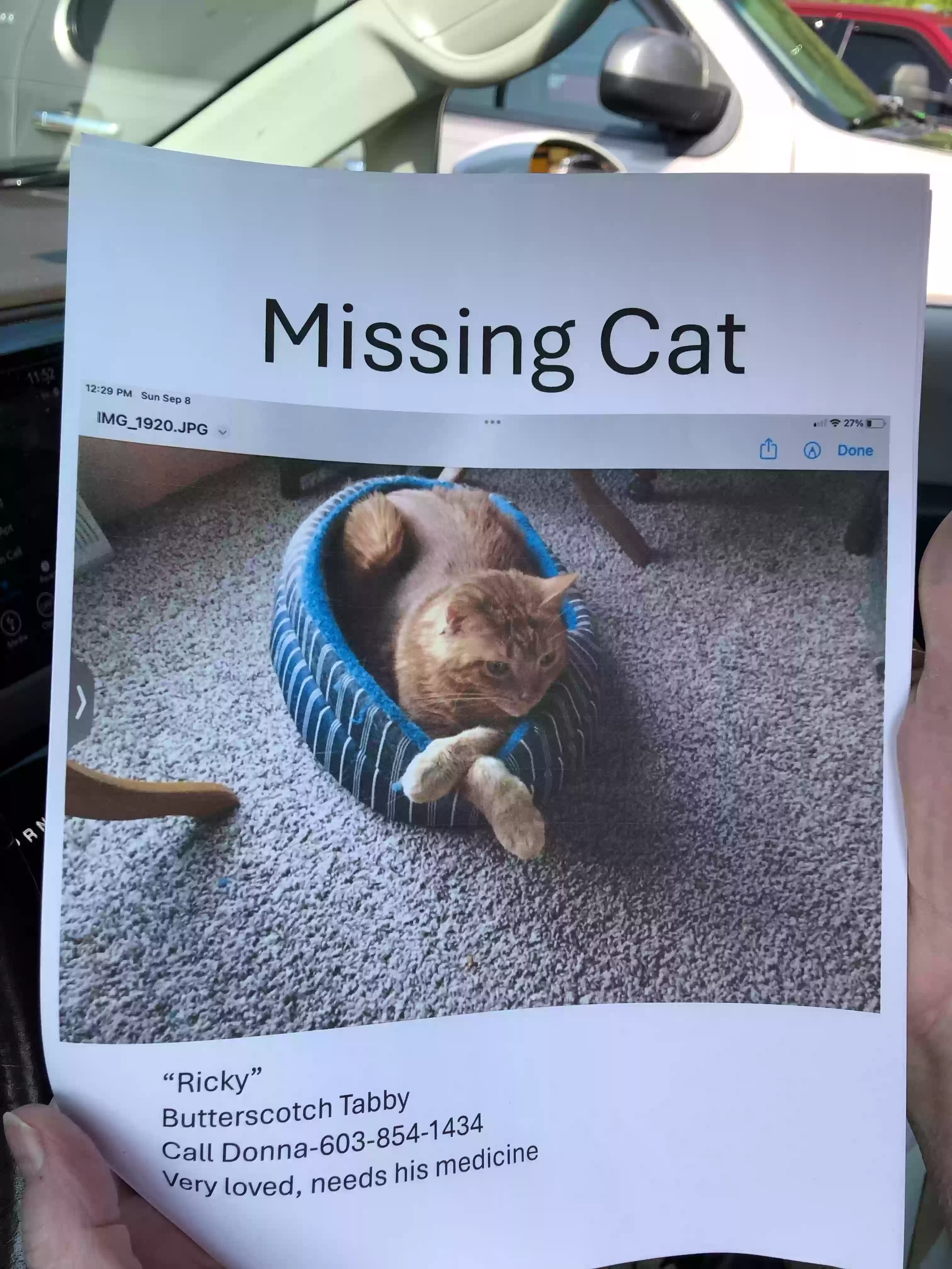 /lostandfound/images/lnfpets/original/179556_photo.webp