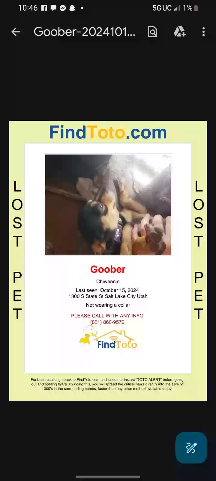 /lostandfound/images/lnfpets/original/180253_photo.webp