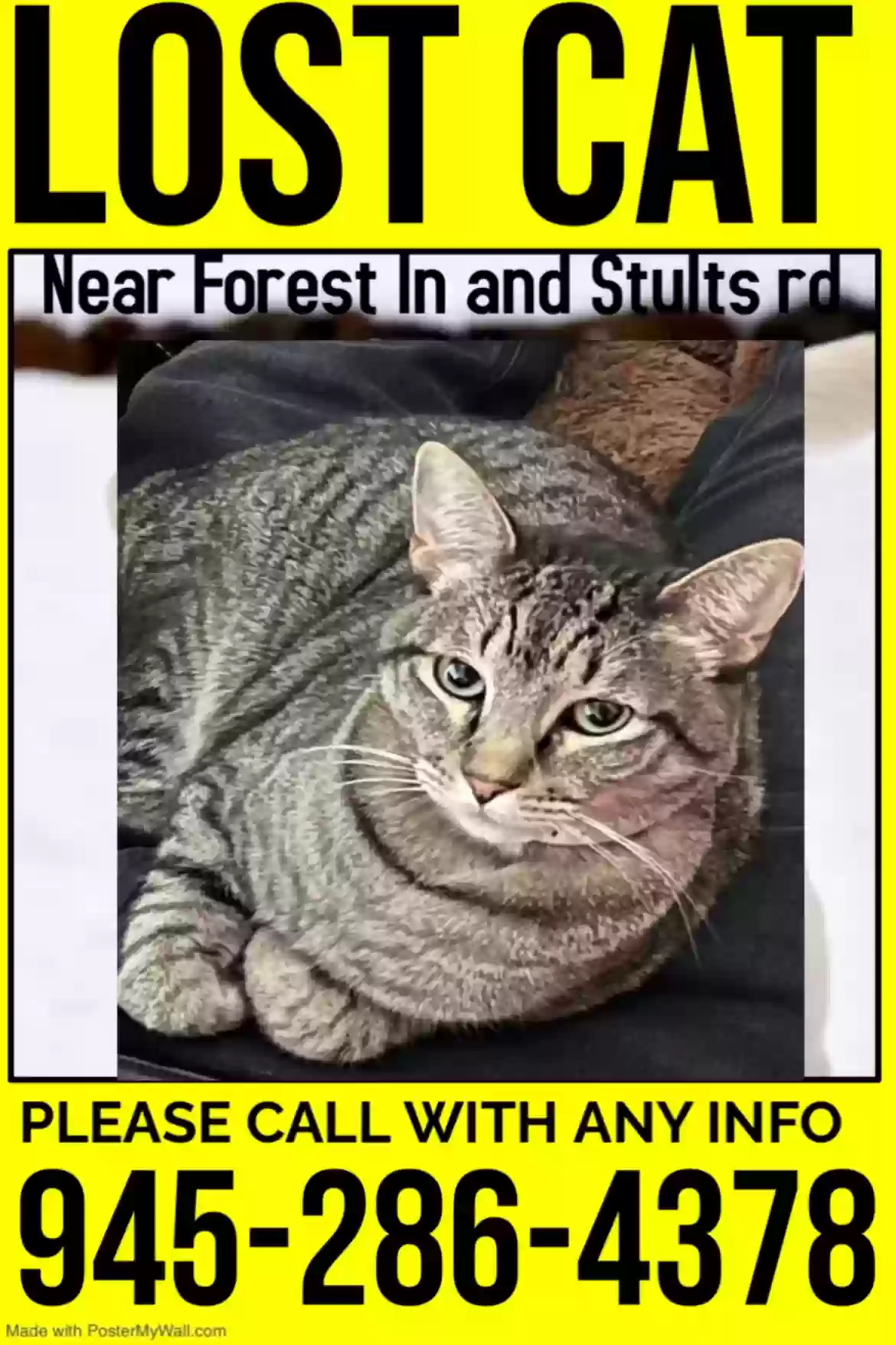 /lostandfound/images/lnfpets/original/180420_photo.webp