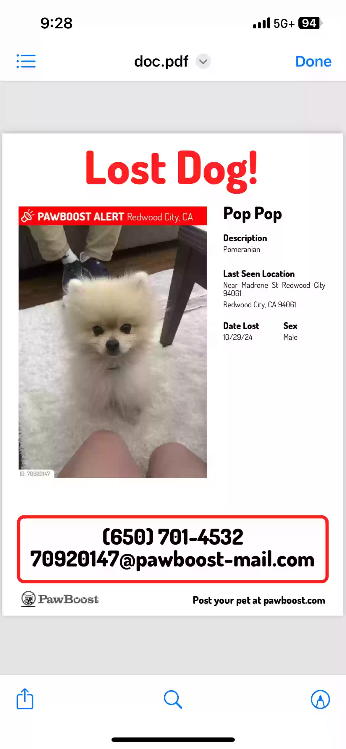 /lostandfound/images/lnfpets/original/180627_photo.webp