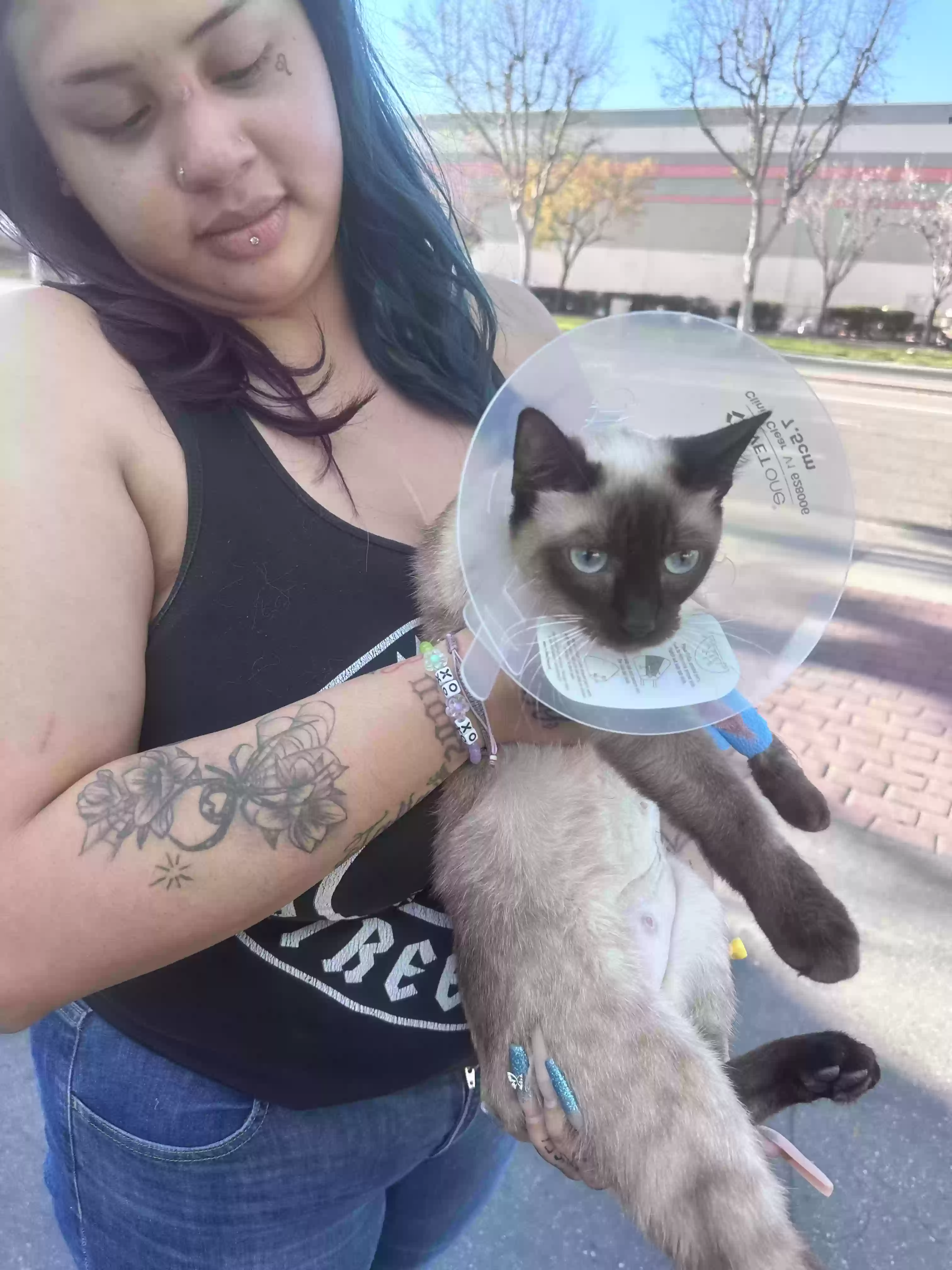 /lostandfound/images/lnfpets/original/180640_photo.webp