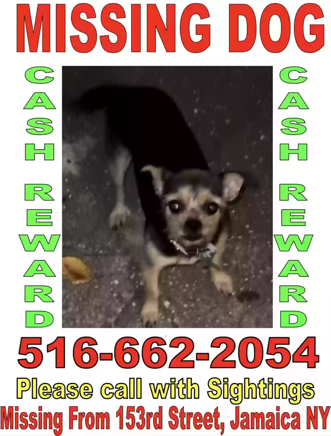 /lostandfound/images/lnfpets/original/181000_photo.webp