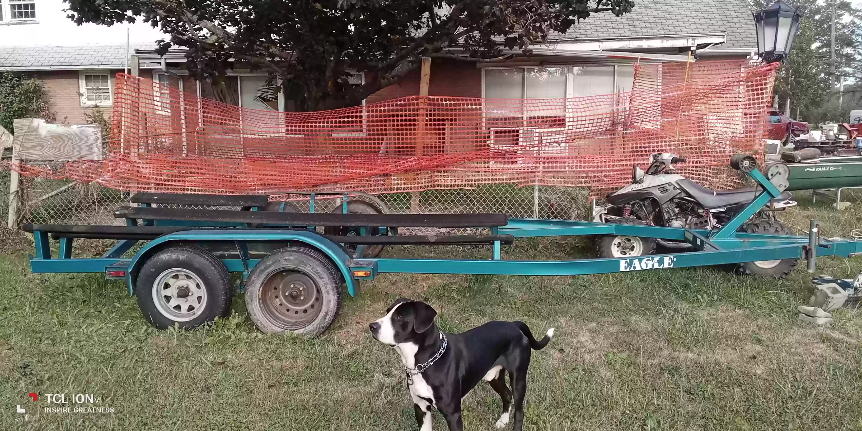 /lostandfound/images/lnfpets/original/181414_photo.webp