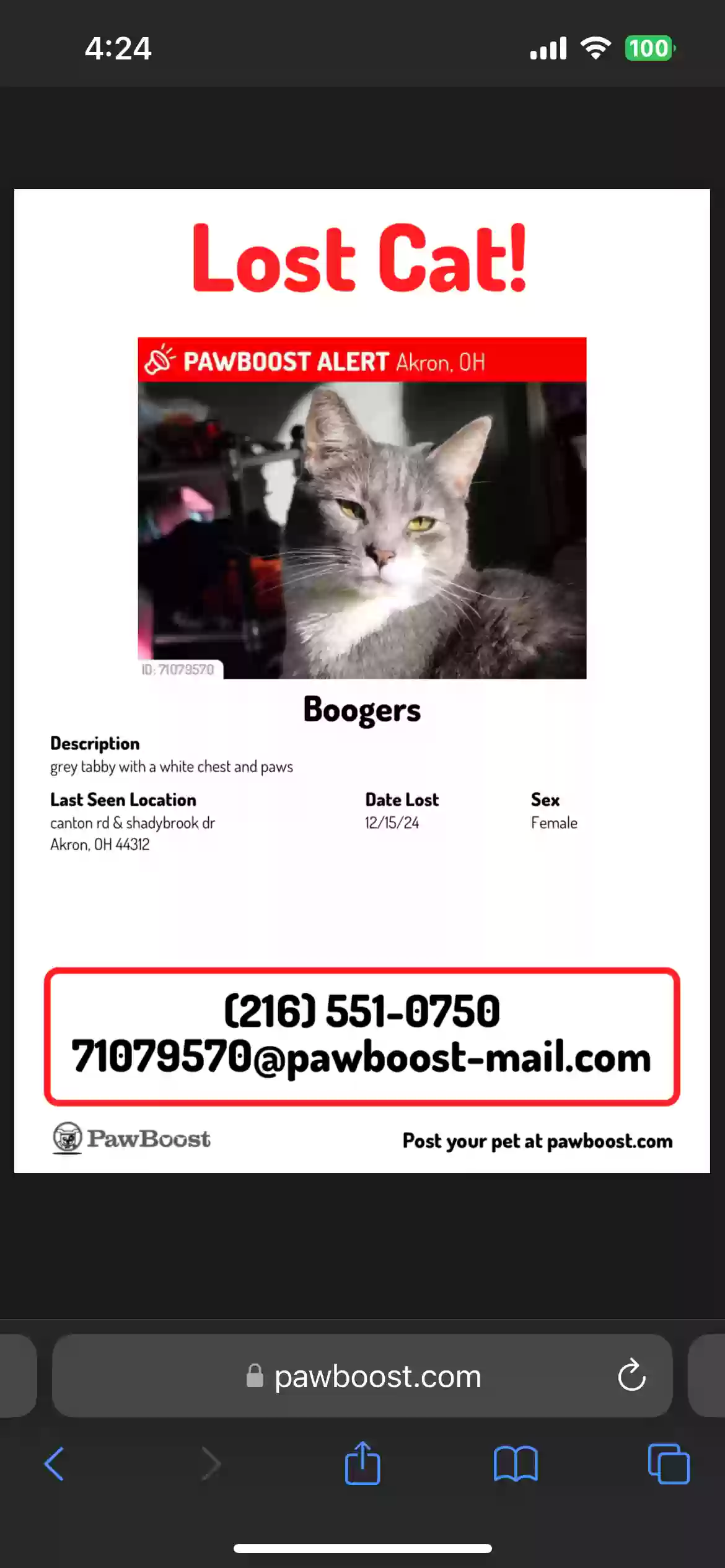 /lostandfound/images/lnfpets/original/181902_photo.webp