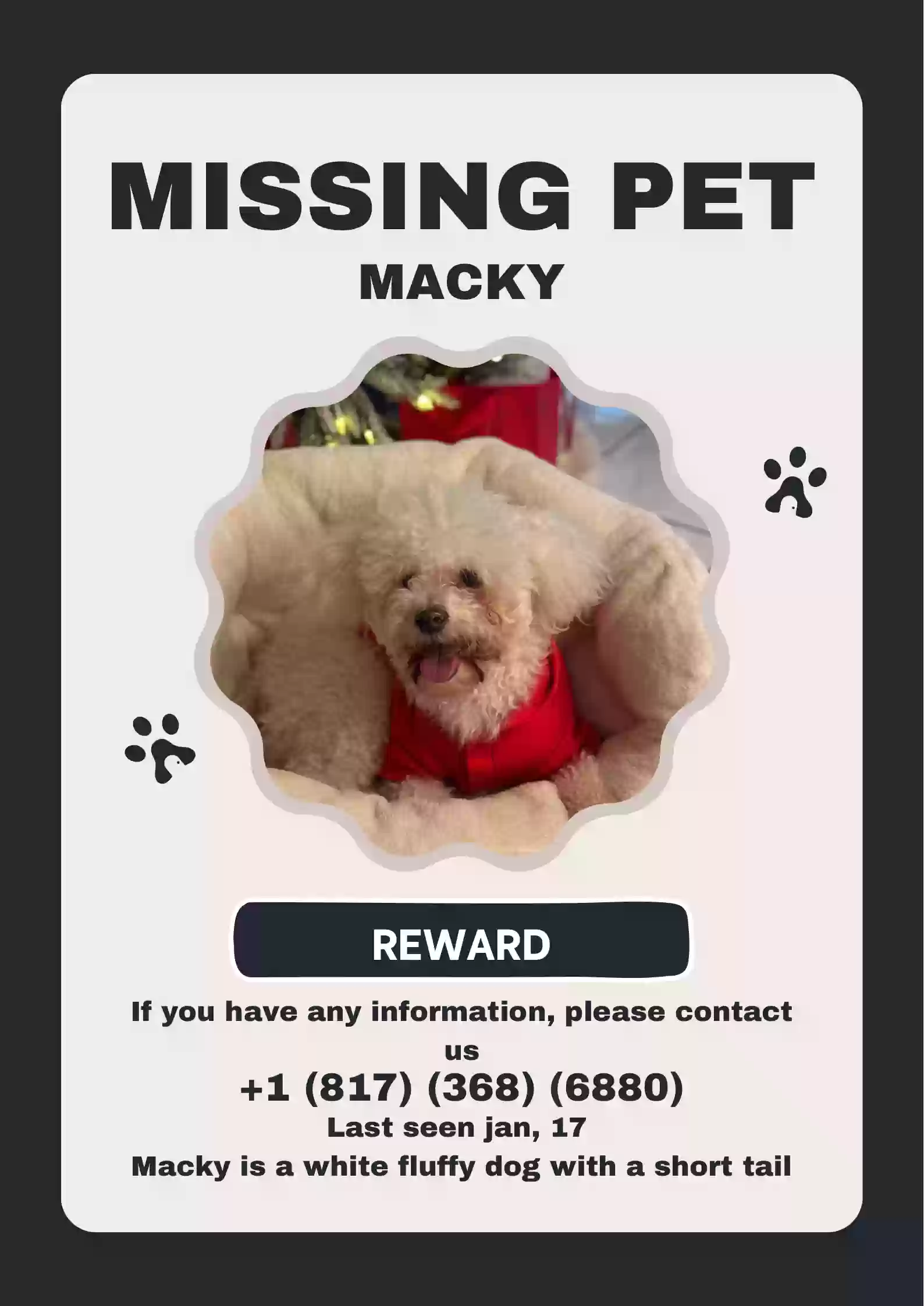/lostandfound/images/lnfpets/original/182762_photo.webp