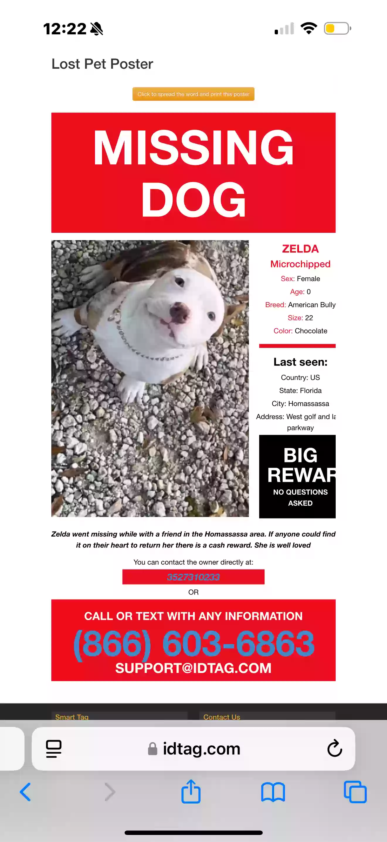 /lostandfound/images/lnfpets/original/182781_photo.webp