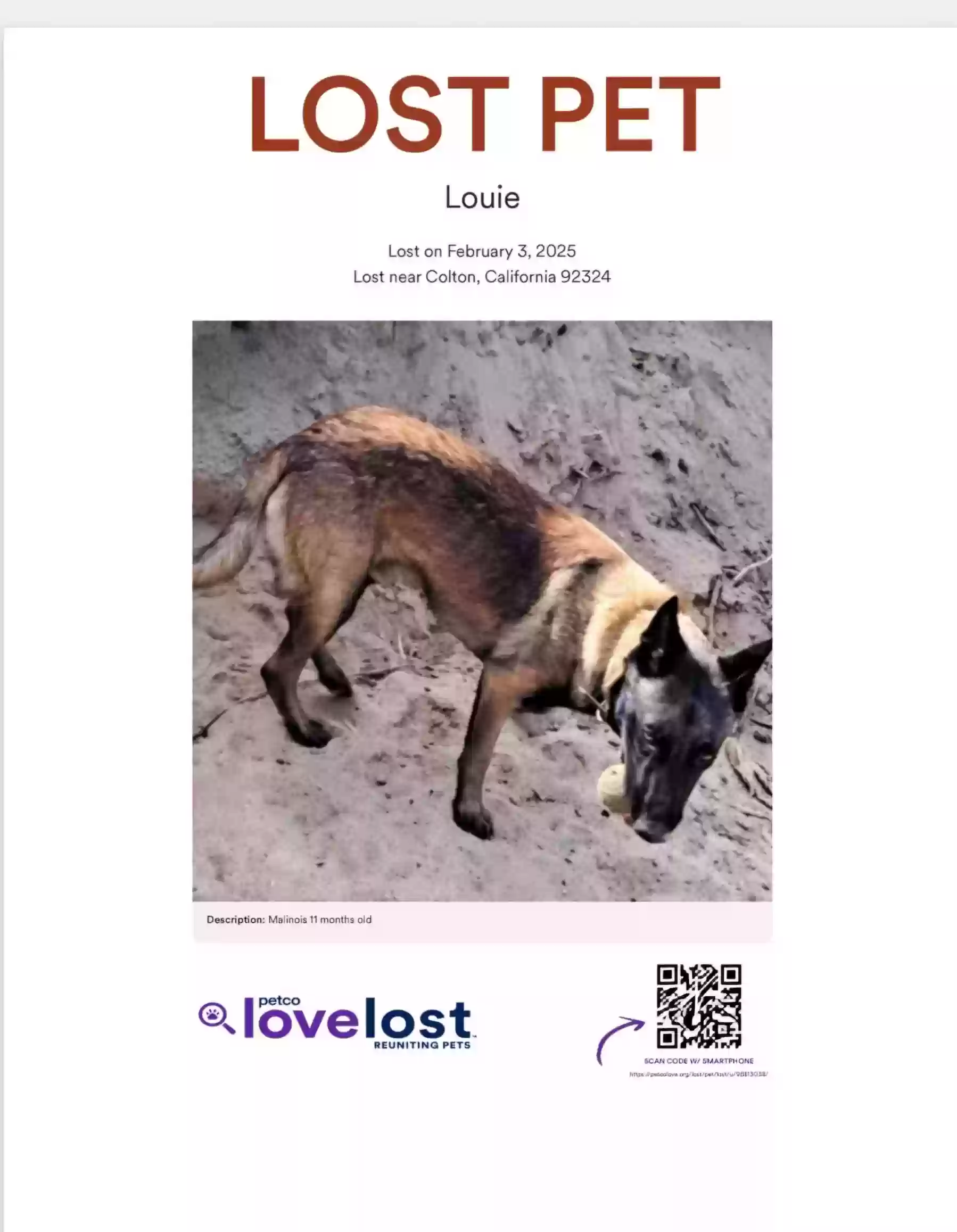 /lostandfound/images/lnfpets/original/183453_photo.webp