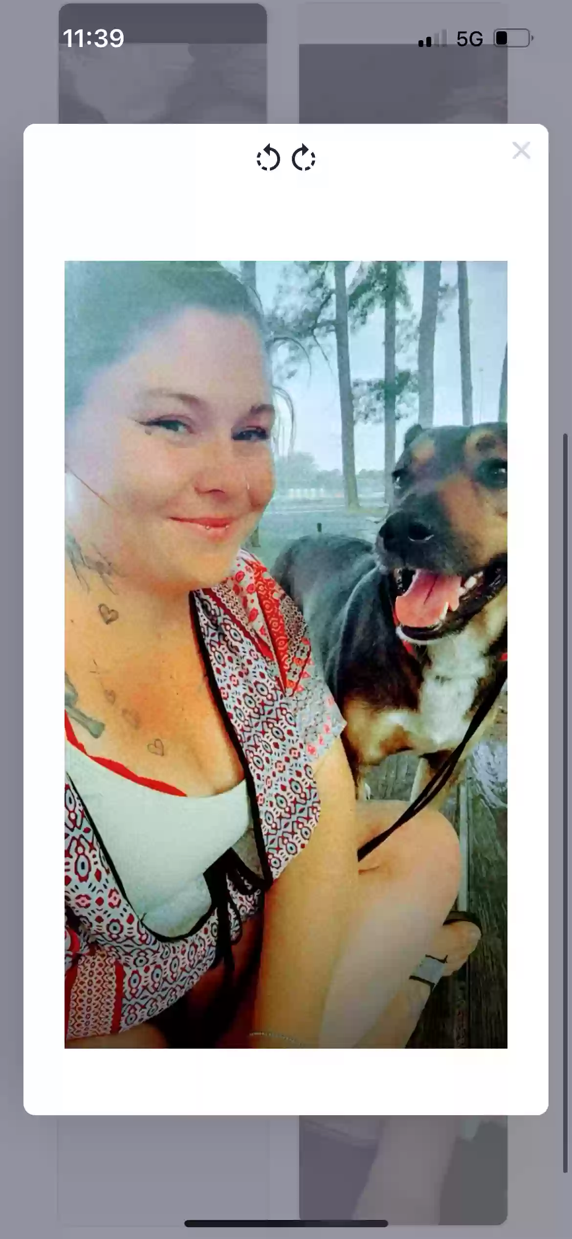 /lostandfound/images/lnfpets/original/183586_photo.webp