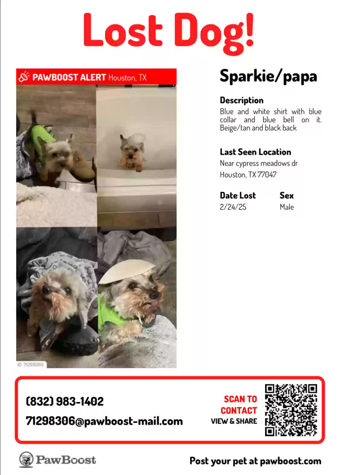 /lostandfound/images/lnfpets/original/183662_photo.webp