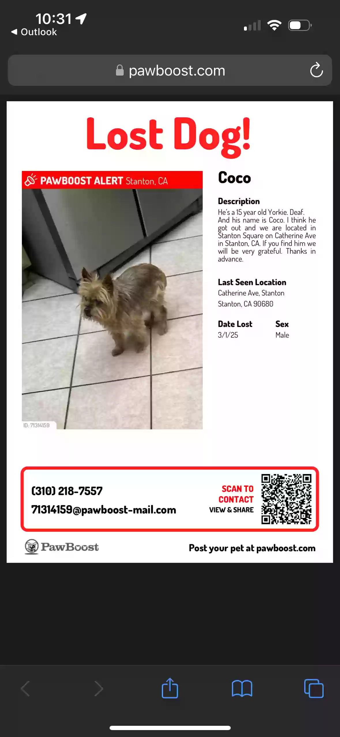 /lostandfound/images/lnfpets/original/183787_photo.webp