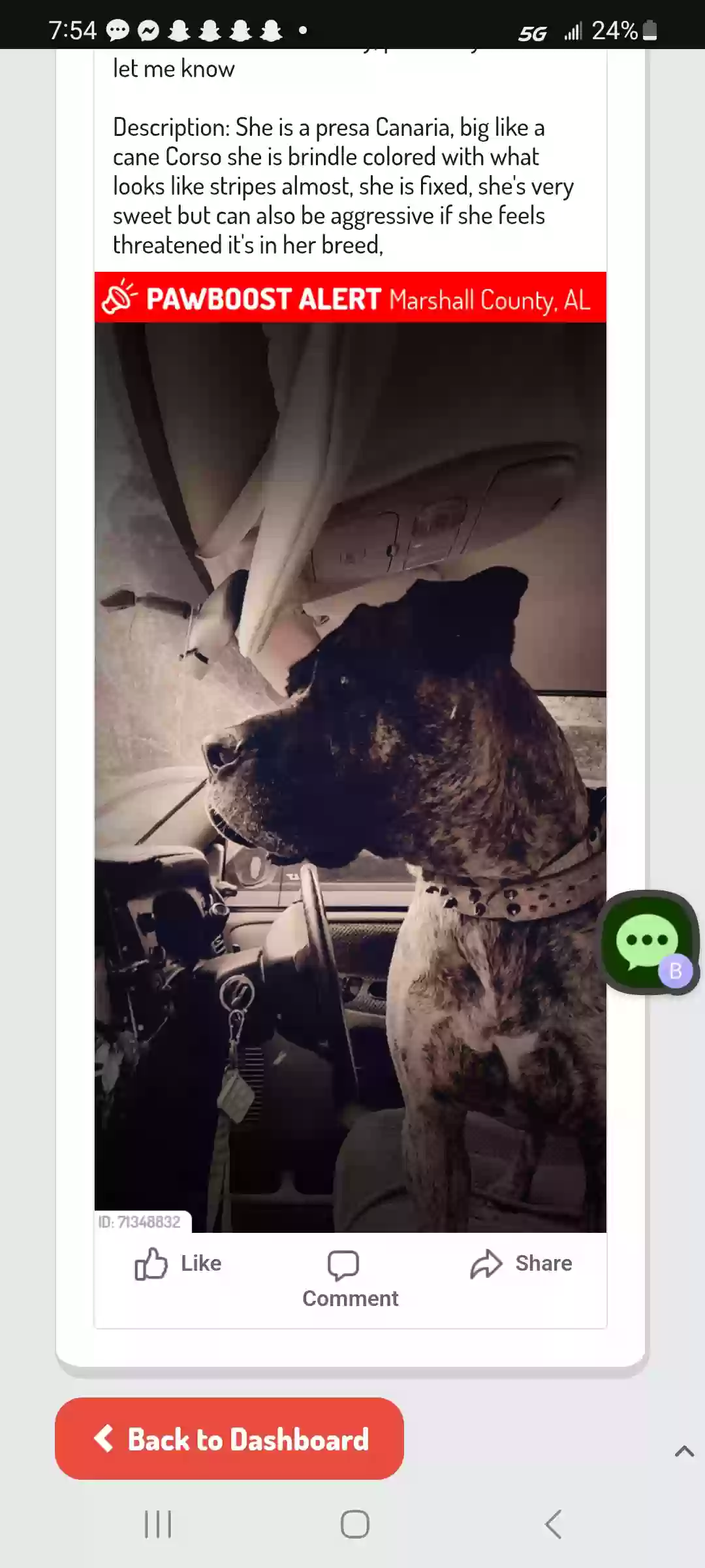 /lostandfound/images/lnfpets/original/184103_photo.webp
