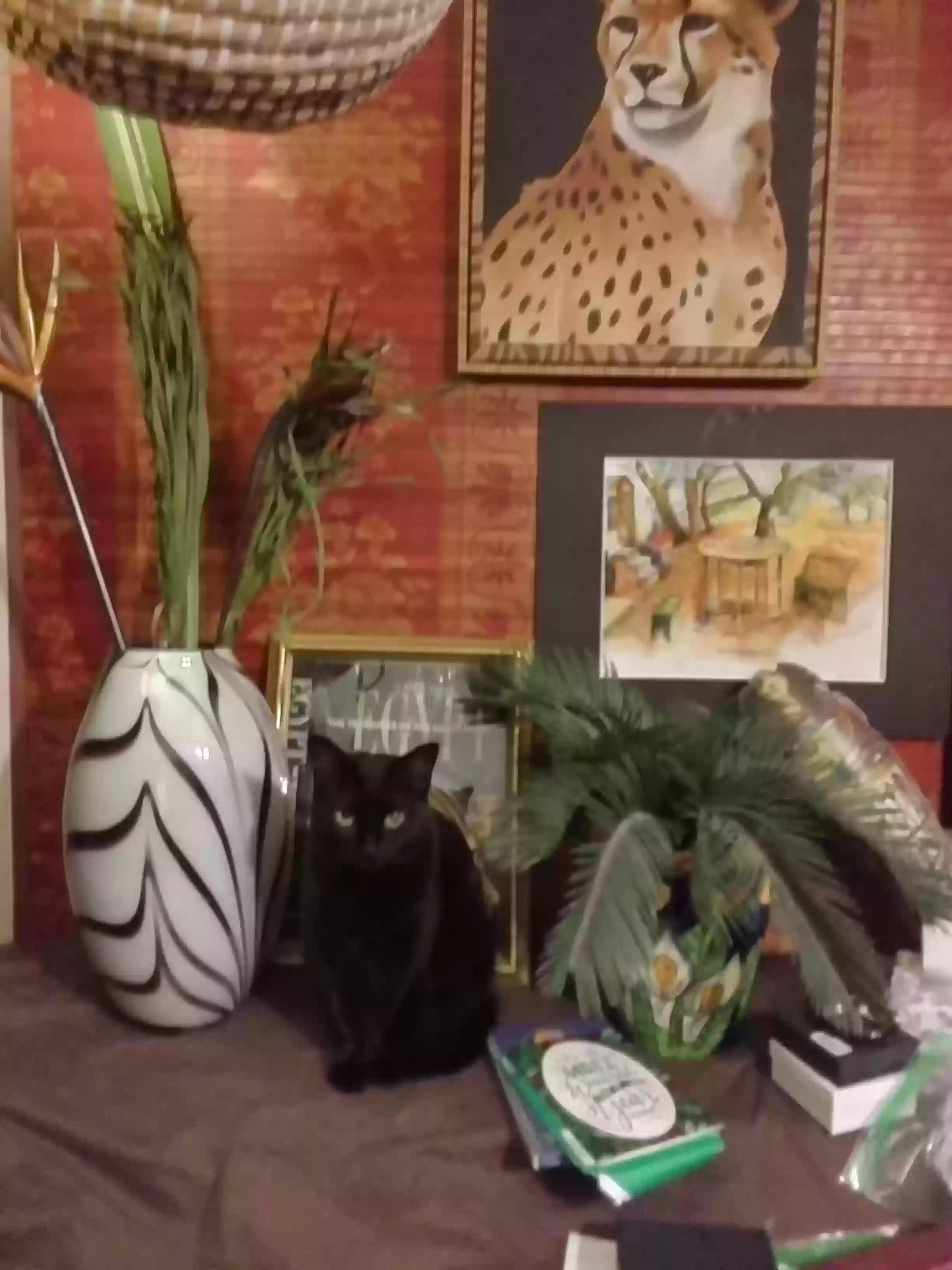 /lostandfound/images/lnfpets/original/184158_photo.webp