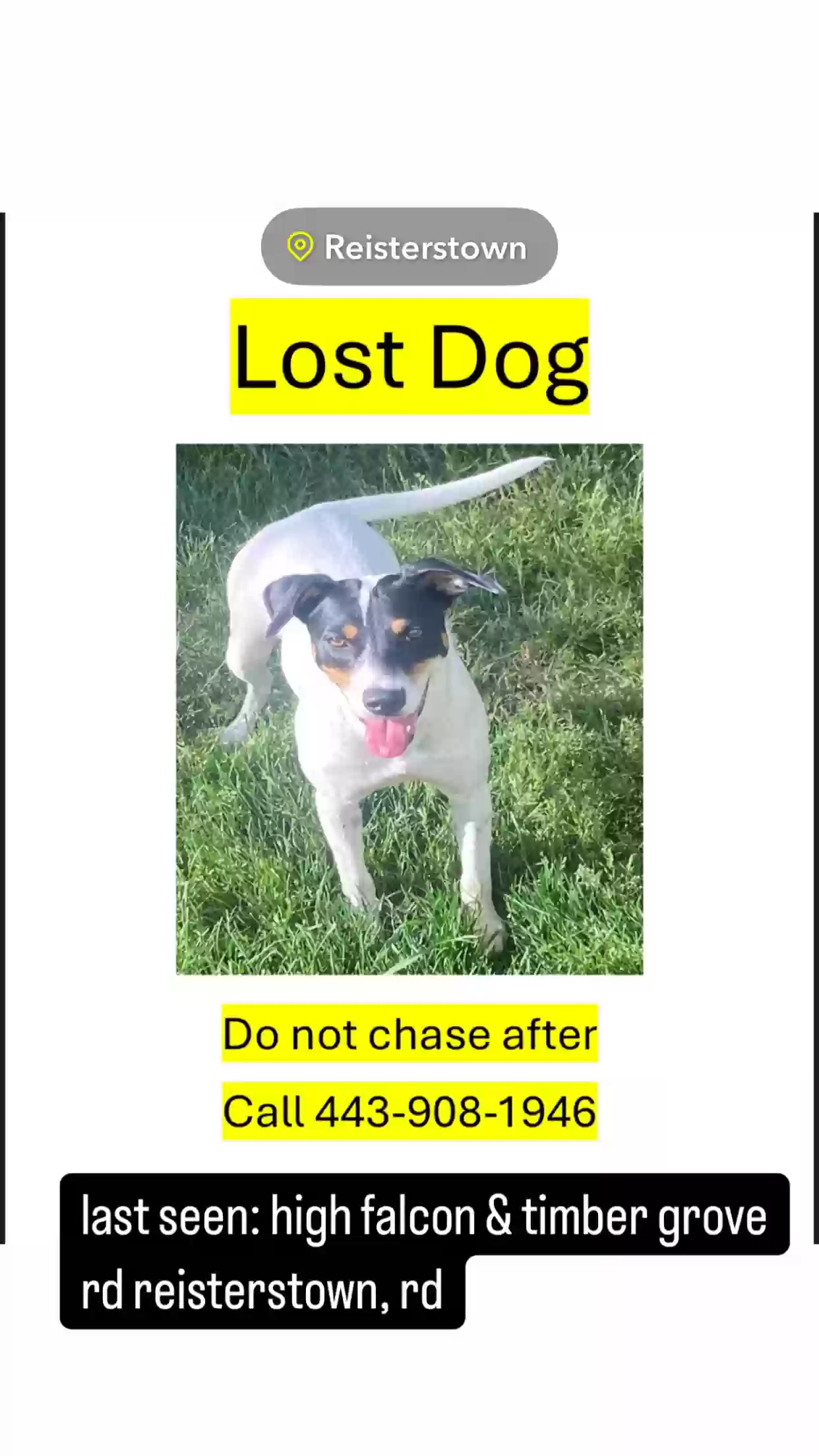 /lostandfound/images/lnfpets/original/185009_photo.webp