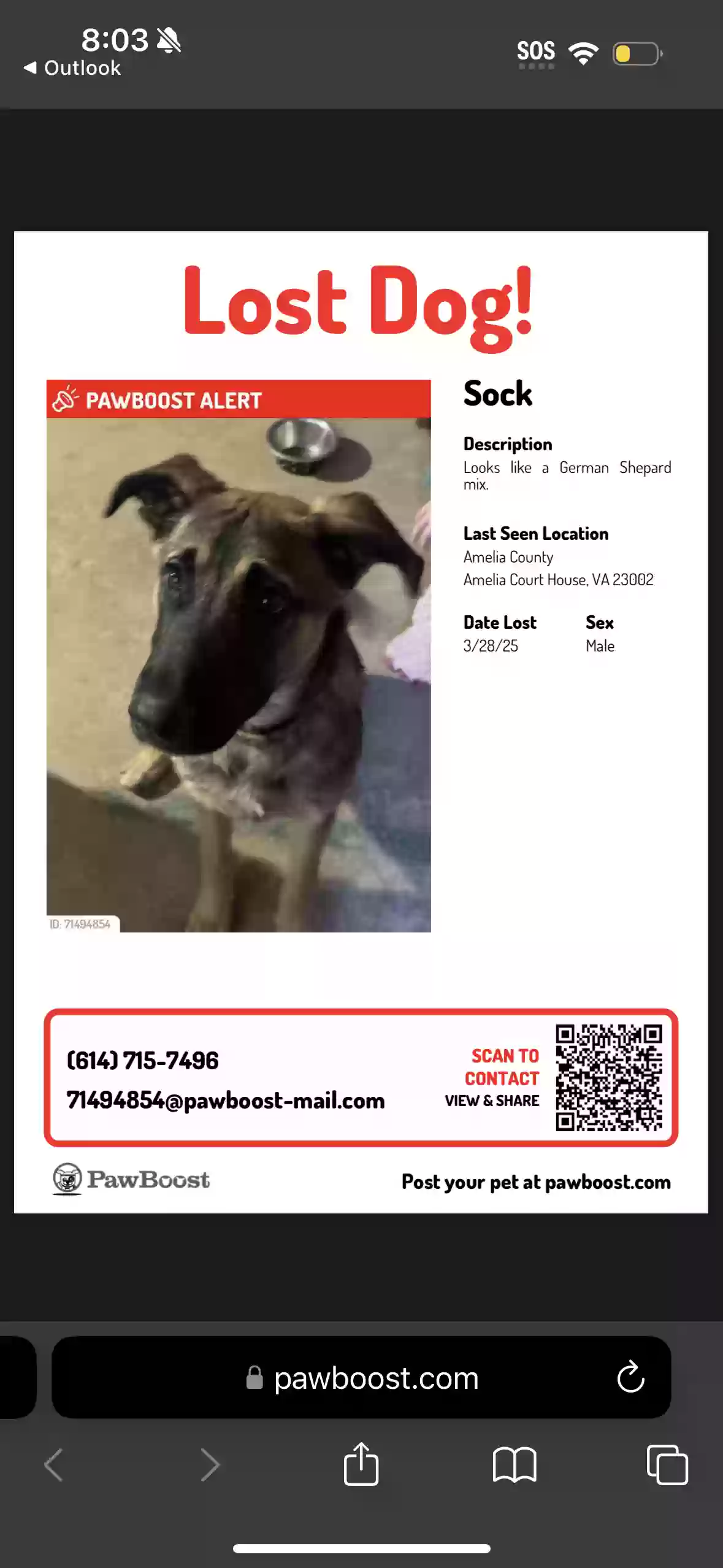 /lostandfound/images/lnfpets/original/185168_photo.webp