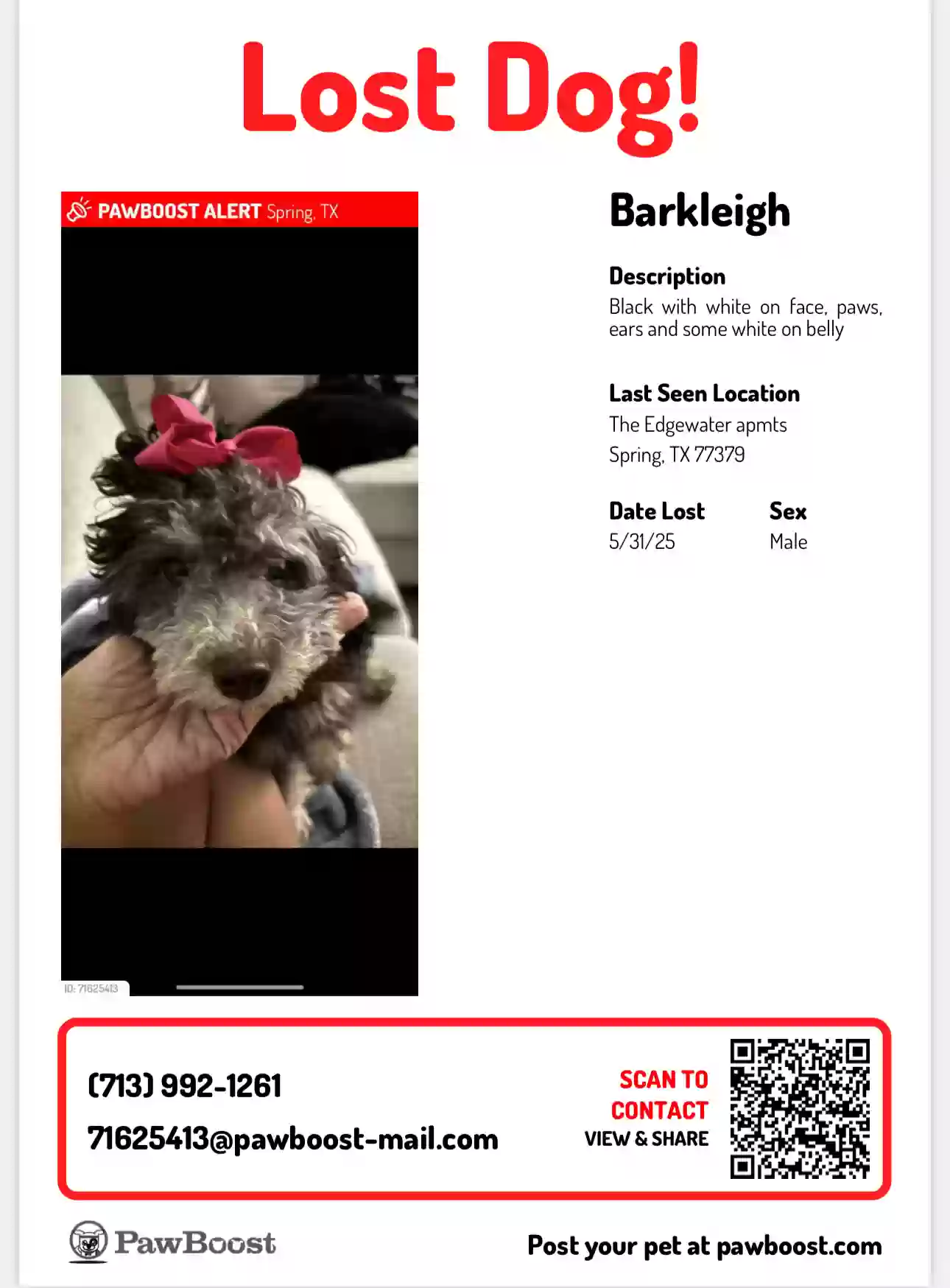 /lostandfound/images/lnfpets/original/186148_photo.webp