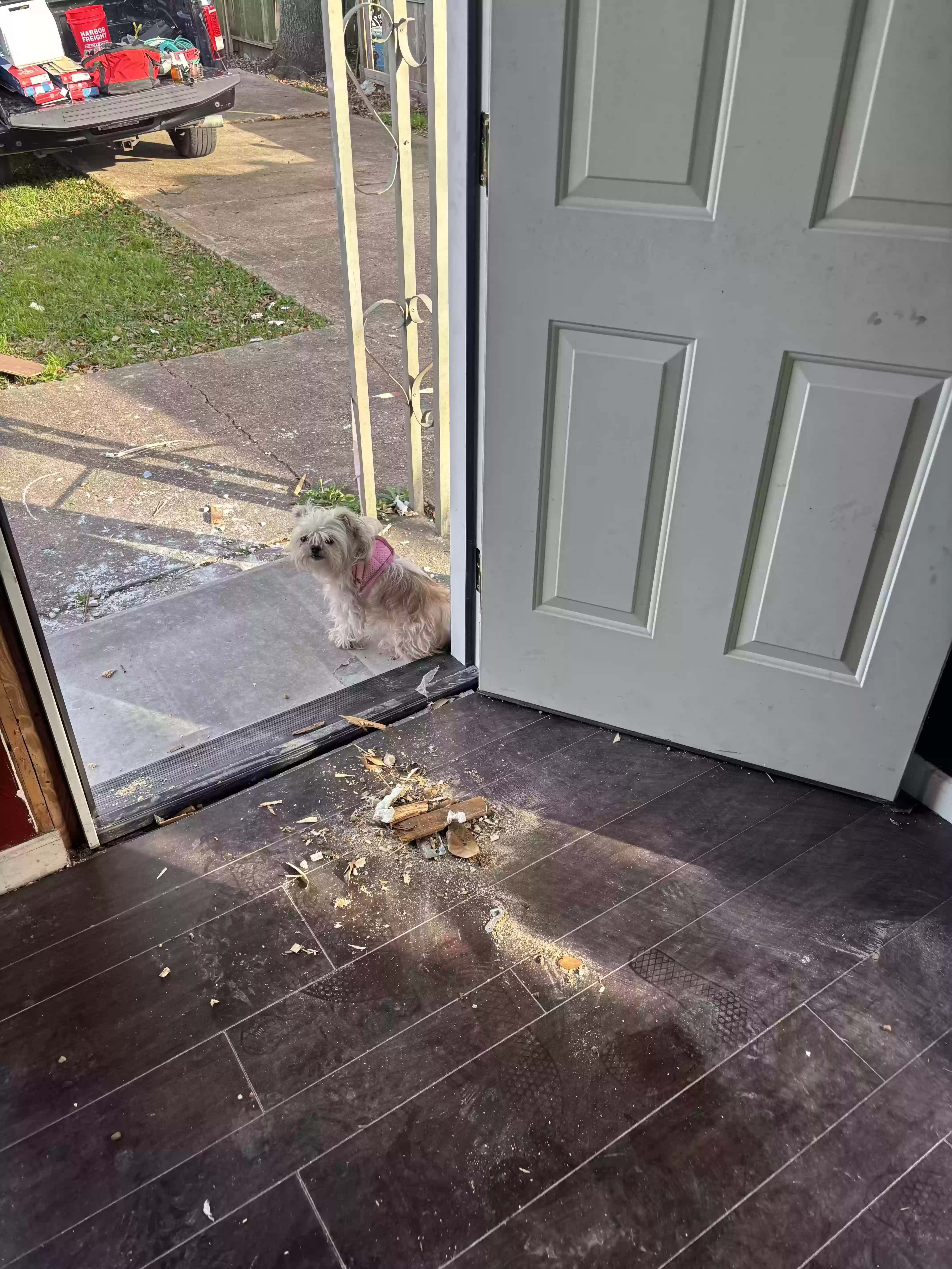 /lostandfound/images/lnfpets/original/186439_photo.webp