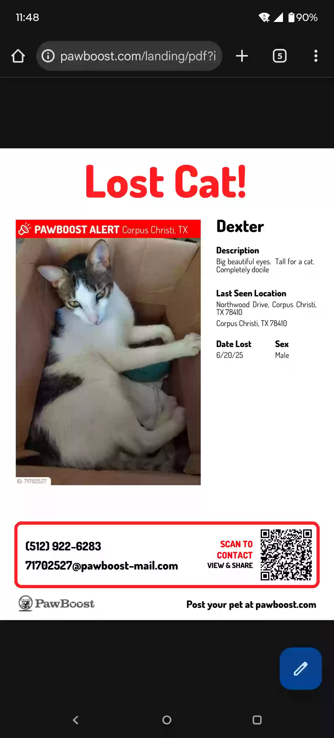 /lostandfound/images/lnfpets/original/186649_photo.webp