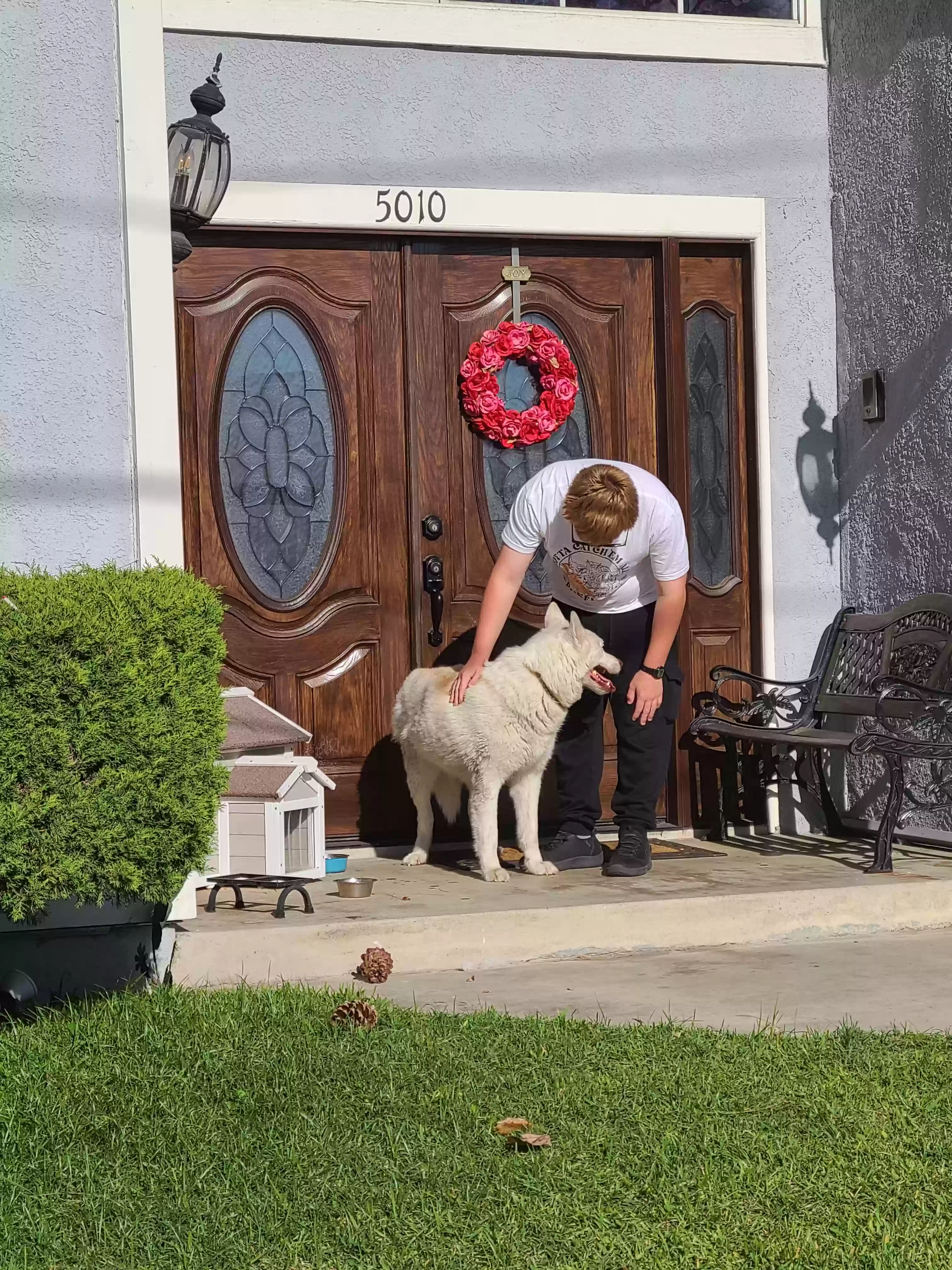 /lostandfound/images/lnfpets/original/186889_photo.webp