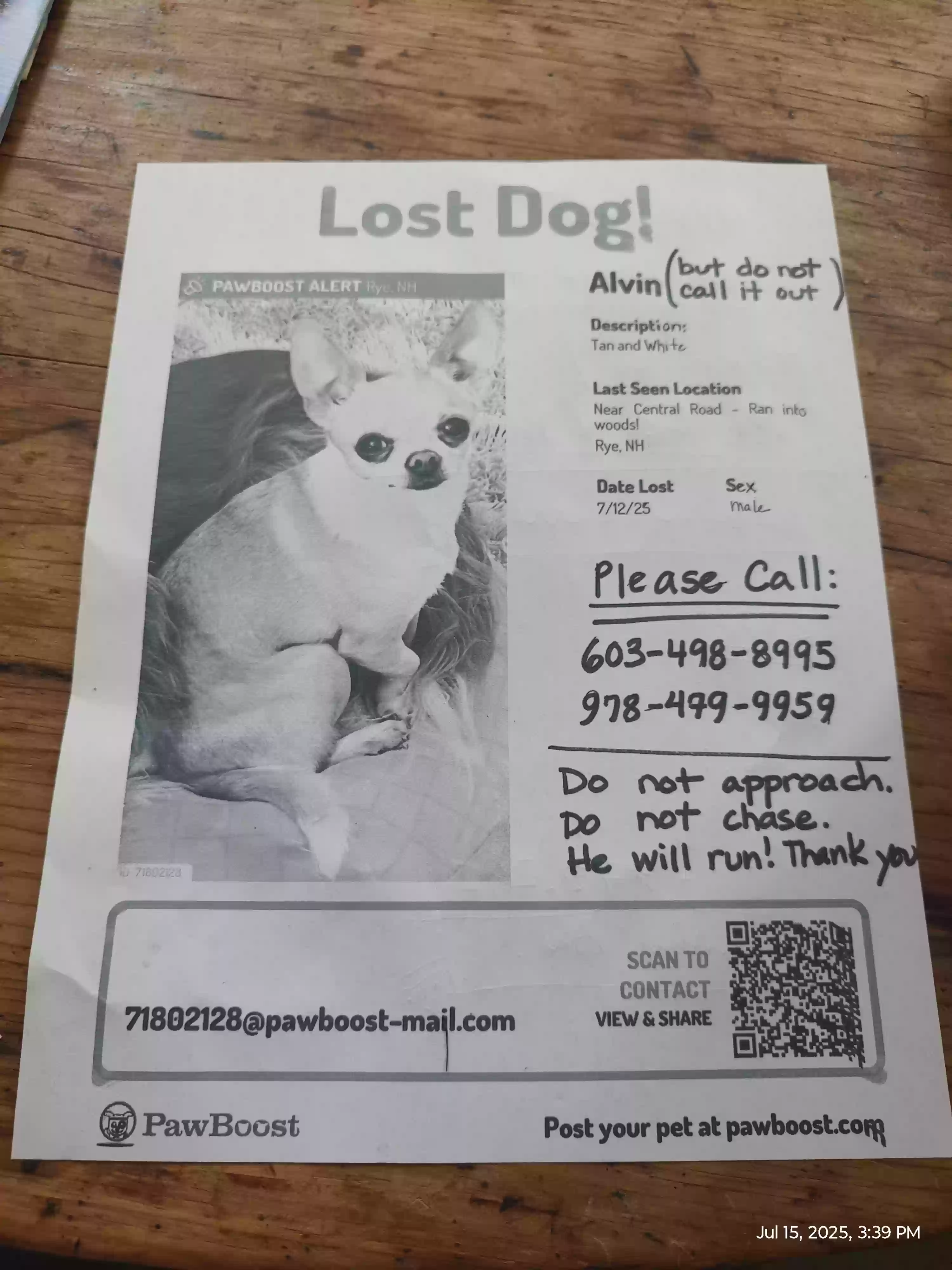 /lostandfound/images/lnfpets/original/187292_photo.webp