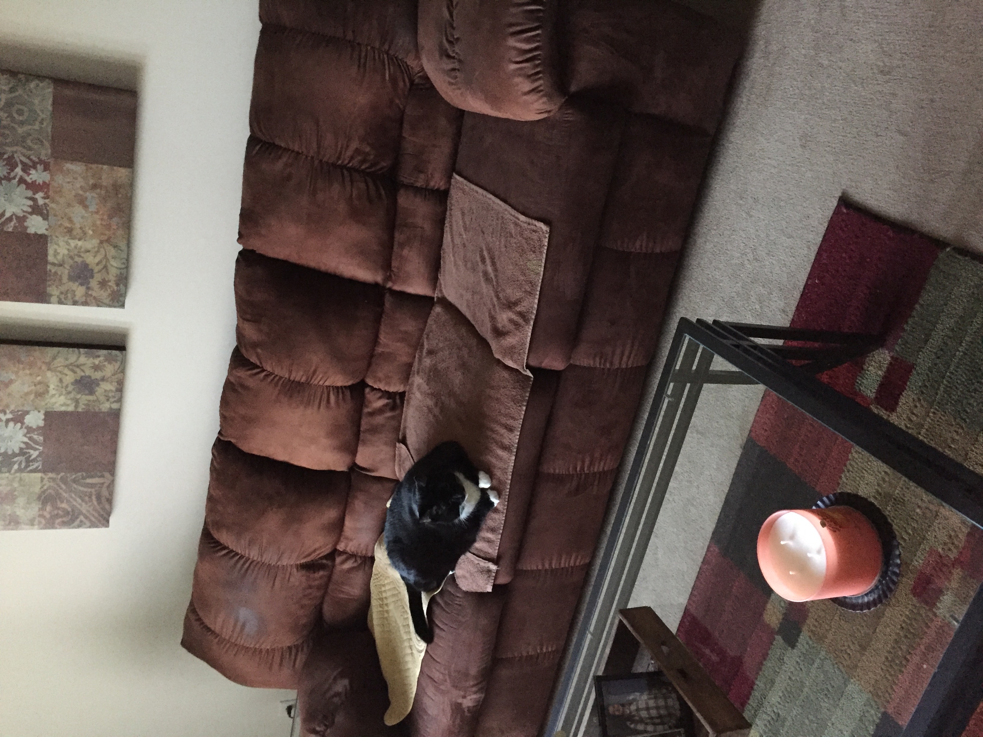 /lostandfound/images/lnfpets/original/19485_thumb_one.jpeg