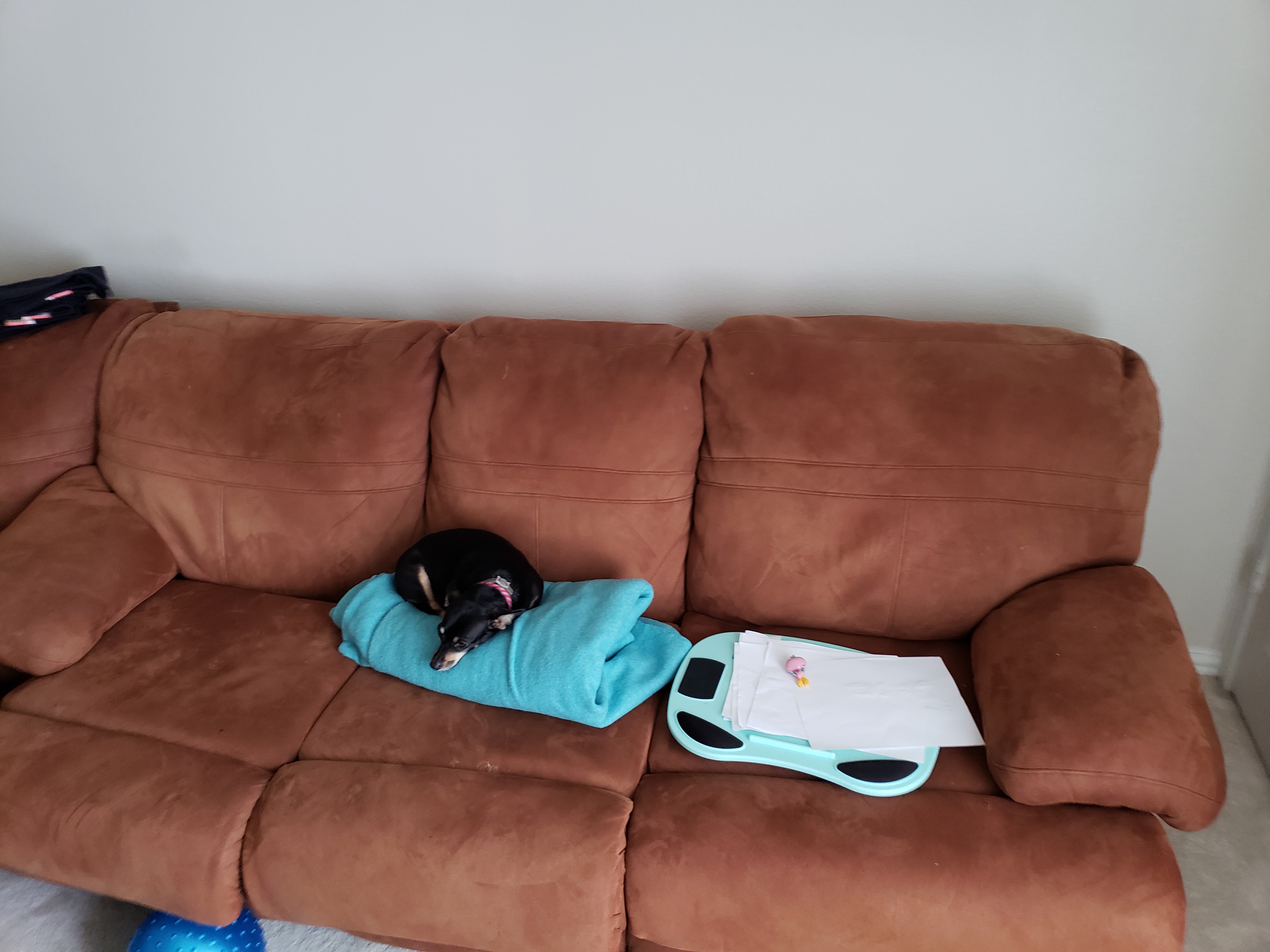 /lostandfound/images/lnfpets/original/20428_thumb_one.jpg