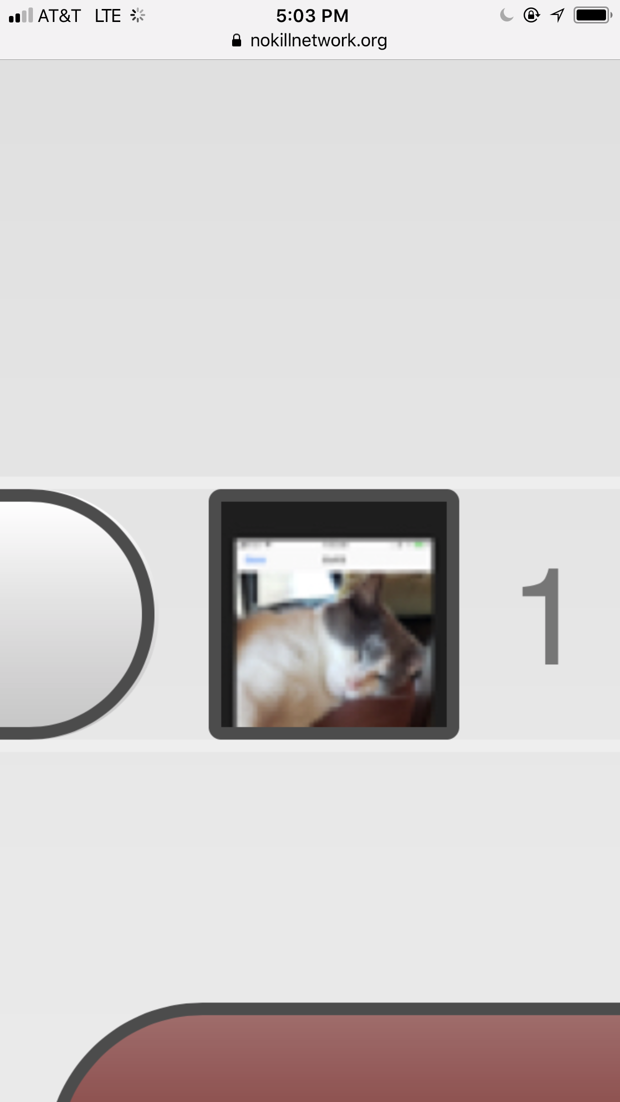 /lostandfound/images/lnfpets/original/22940_90983_D4020B15-EADC-49EF-A06C-341E2E96D6D2.png