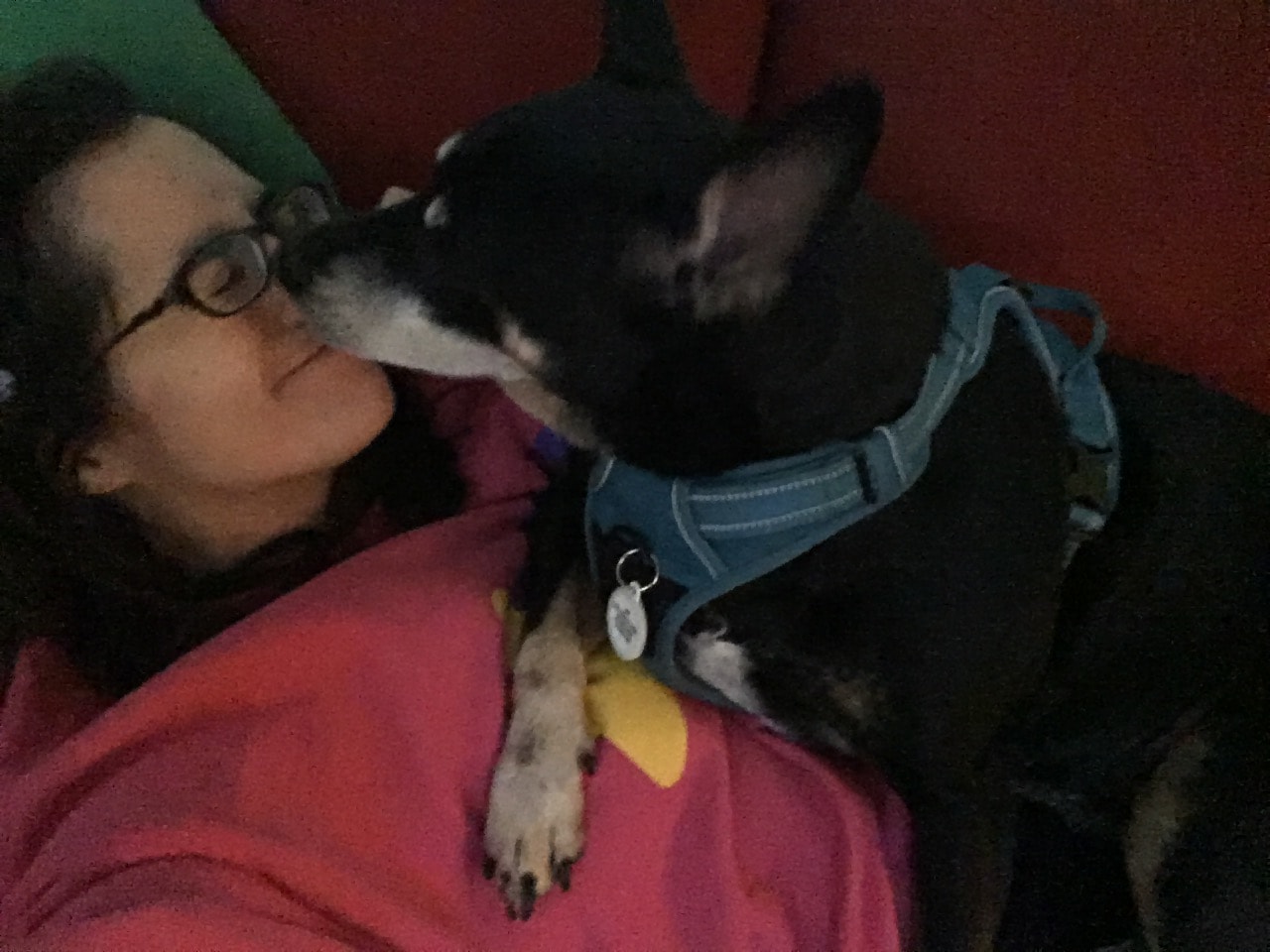 /lostandfound/images/lnfpets/original/25362_thumb_one.jpg