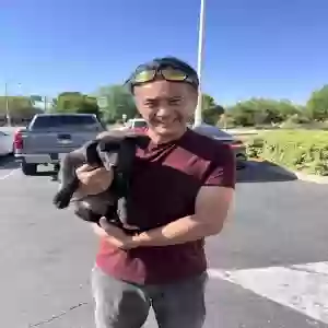 found male dog unknown