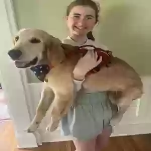 lost male dog unknown