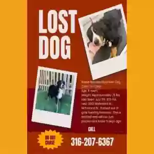 lost female dog flower