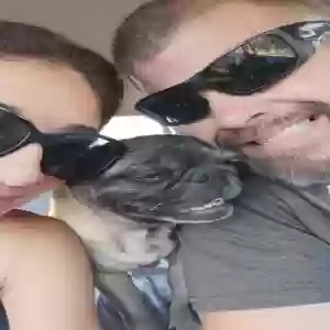 lost female dog kiara
