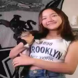 lost female dog unknown