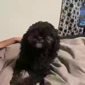 lost female dog kizzy