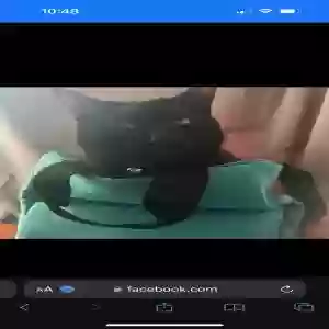 lost male cat unknown