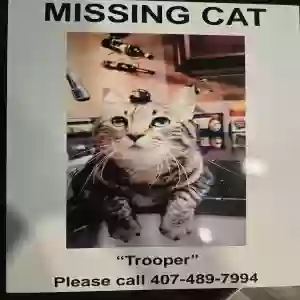 lost male cat trooper
