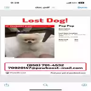 lost male dog unknown